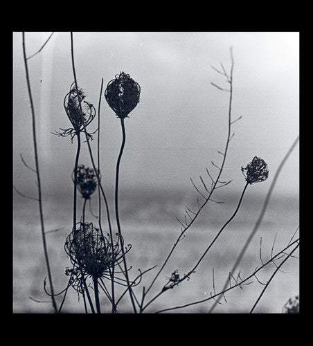 Recondite - Placid - Vinyl Record