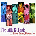 Little Richards - Bama Lama Bama Loo - Vinyl Record
