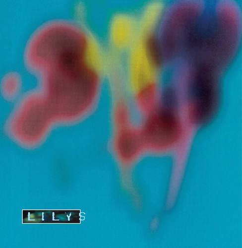 Lilys - Eccsame The Photon Band - Vinyl Record