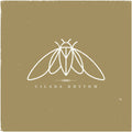 Cicada Rhythm - Cicada Rhythm - Vinyl Record