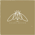 Cicada Rhythm Vinyl Record