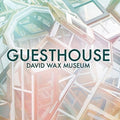 David Wax Museum - Guesthouse - Vinyl Record