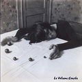 Le Volume Courbe - I Wish Dee Dee Ramone Was Here - Vinyl Record