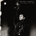 Murphy,peter - Wild Birds Live Tour - Music CD