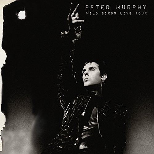 Murphy,peter - Wild Birds Live Tour - Music CD