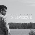 Levesque,denis - Sous Mes Pas - Music CD