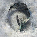 Suma - Ashes - Music CD
