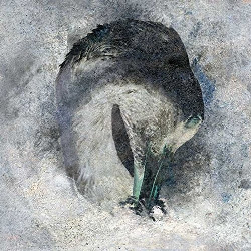 Suma - Ashes - Music CD