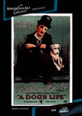 Dog's Life - Dog's Life - DVD