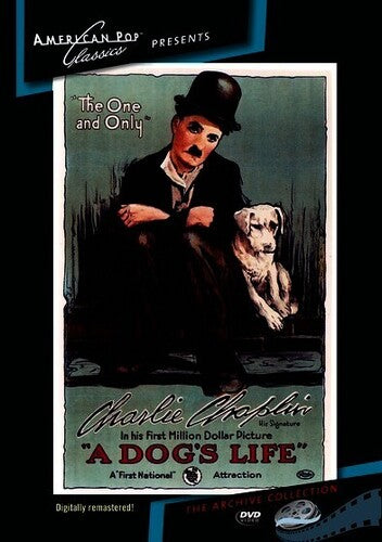 Dog's Life - Dog's Life - DVD
