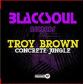 Brown,troy - Concrete Jungle - Music CD