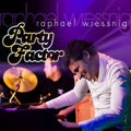 Wressnig,raphael - Party Factor - Music CD