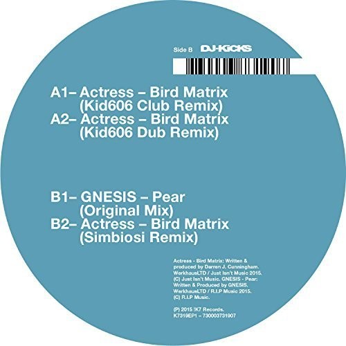 Actress - Bird Matrix (remixes) - Vinyl Record