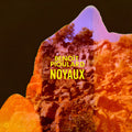 Pioulard,benoit - Noyaux - Vinyl Record