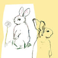 Beat Happening - Look Around - Vinyl Record