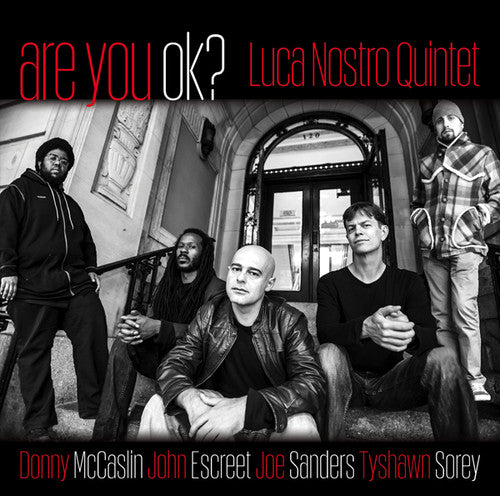Nostro,luca - Are You Ok / Various - Music CD