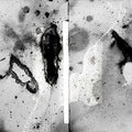 Certain Creatures - Vipassana - Vinyl Record