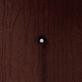 Swarm Intelligence - Rust - Music CD