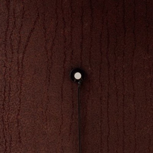 Swarm Intelligence - Rust - Music CD