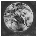 Oly. - Home - Music CD