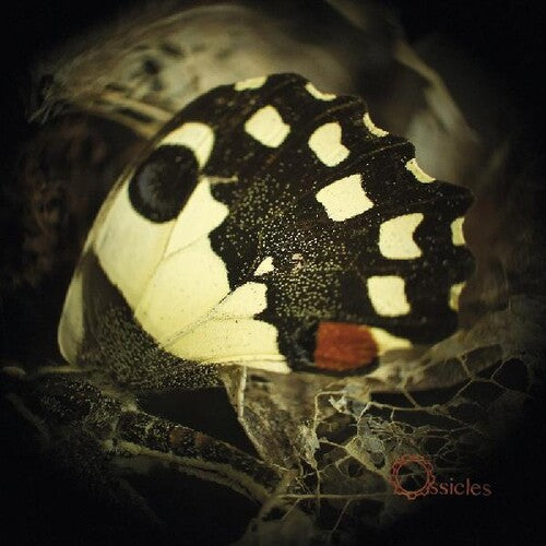 Ossicles - Music For Wastelands - Music CD