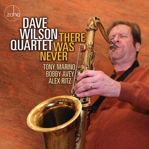 Wilson,dave - There Was Never - Music CD