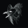 Buried At Sea - Migration - Music CD