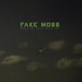 Fake Moss - Under The Great Black Sky - Music CD