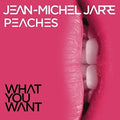 Jarre,jean Michel - What You Want - Vinyl Record