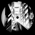 Ant Orange - Ant Orange - Vinyl Record