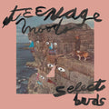 Teenage Moods - Select Buds - Vinyl Record
