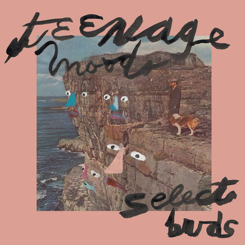 Teenage Moods - Select Buds - Vinyl Record