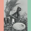 Vincent Over The Sink - 22 Coloured Bull-terriers - Vinyl Record