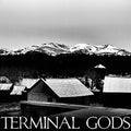 Terminal Gods - Boundless B/w Driving Home For Christmas - Vinyl Record