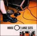House Of Large Sizes - Idiots Out Wandering Around - Music CD