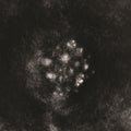 Saffronkeira - Synecdoche - Vinyl Record
