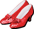 Wizard Of Oz-red Ruby Slippers Funky Chunky Magnet - Wizard Of Oz-red Ruby Slippers Funky Chunky Magnet - Special Products