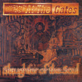 At The Gates - Slaughter Of The Soul - Vinyl Record
