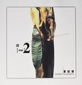 Summer,danny - Am 2 /ltd 180g Green Clear Vinyl - Vinyl Record
