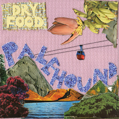Palehound - Dry Food - Vinyl Record
