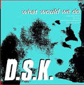 Dsk - What Would We Do (junior Boy's Own Mixes) - Music CD