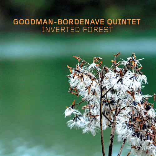 Goodman-bordenave Quintet - Inverted Forest - Music CD
