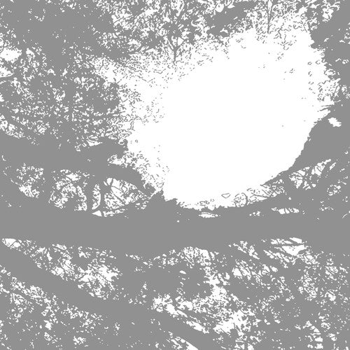 Comets On Fire - Field Recordings From The Sun - Vinyl Record