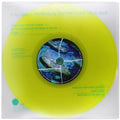 Pink Floyd Tribute Band - If You Were In The Middle - Vinyl Record