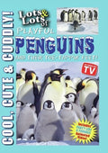 Lots & Lots Of Playful Penguins - Lots & Lots Of Playful Penguins - DVD