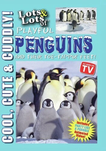 Lots & Lots Of Playful Penguins - Lots & Lots Of Playful Penguins - DVD