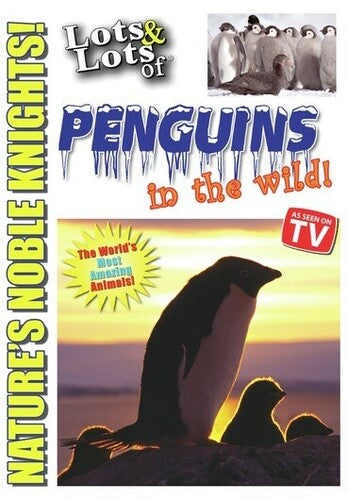 Lots & Lots Of Penguin In The Wild - Lots & Lots Of Penguin In The Wild - DVD
