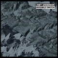 Anderson,joey - Invisible Switch - Vinyl Record