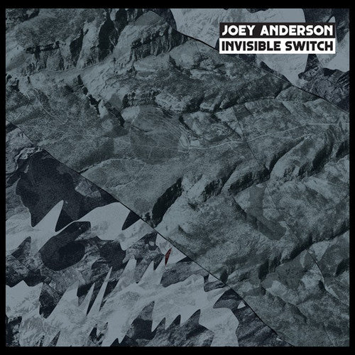 Anderson,joey - Invisible Switch - Vinyl Record