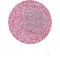 Brown,julia - An Abundance Of Strawberries - Vinyl Record